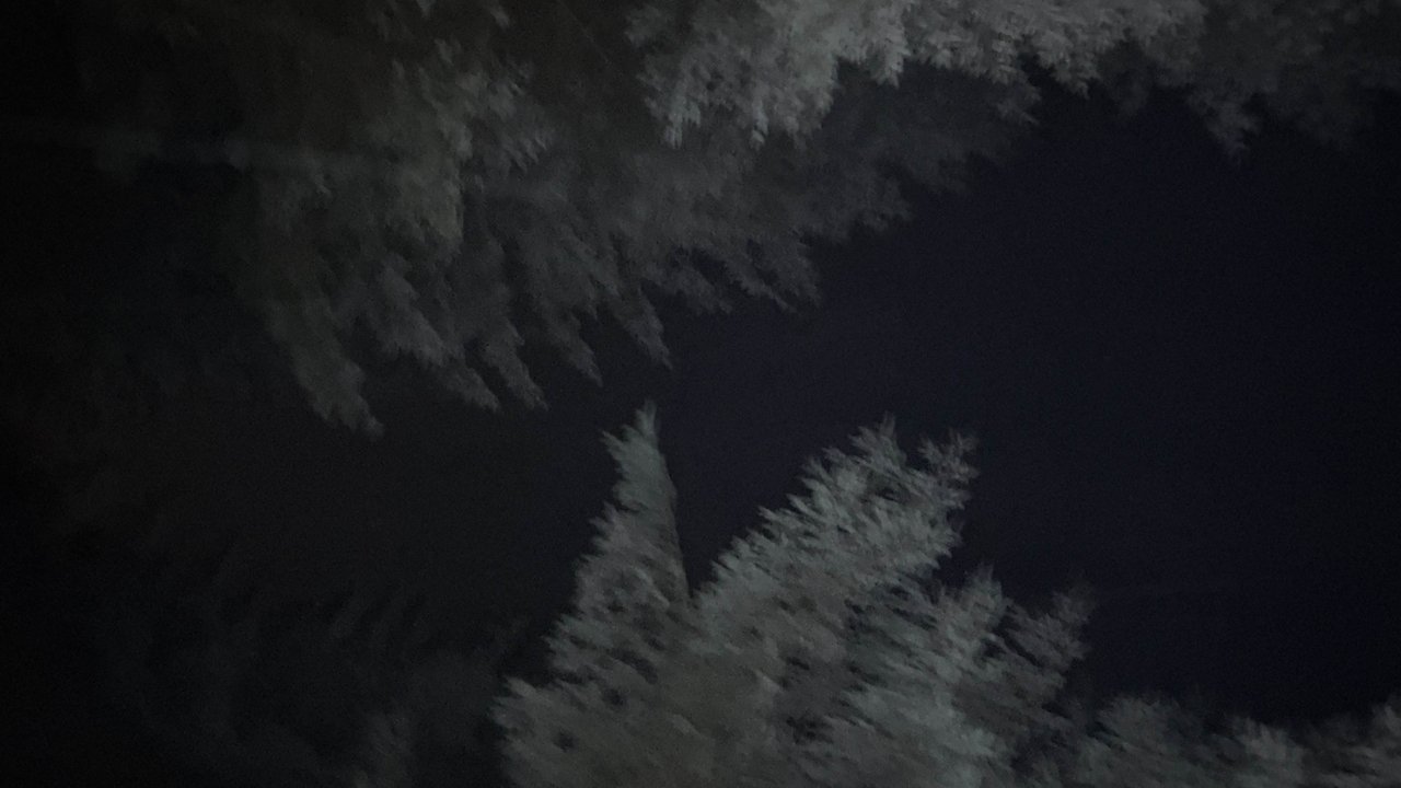 Last To Die (2025)